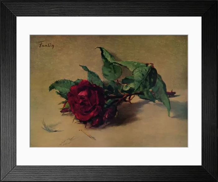 Framed Print : Red Rose, c1864, (1938). Artist: Henri Fantin-Latour Framed Print : Red Rose, c1864, (1938). Artist: Henri Fantin-Latour