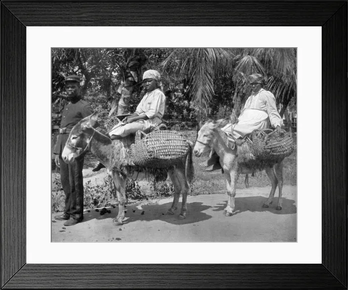 Framed Print : Off to the jail, Jamaica, c1905. Artist: Adolphe Duperly & Son Framed Print : Off to the jail, Jamaica, c1905. Artist: Adolphe Duperly & Son