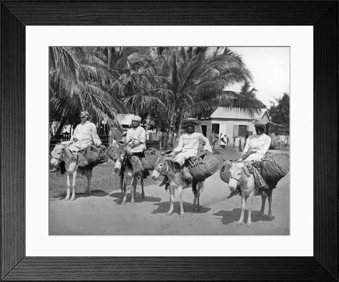 Framed Print : On the way home from market, Jamaica, c1905. Artist: Adolphe Duperly & Son Framed Print : On the way home from market, Jamaica, c1905. Artist: Adolphe Duperly & Son