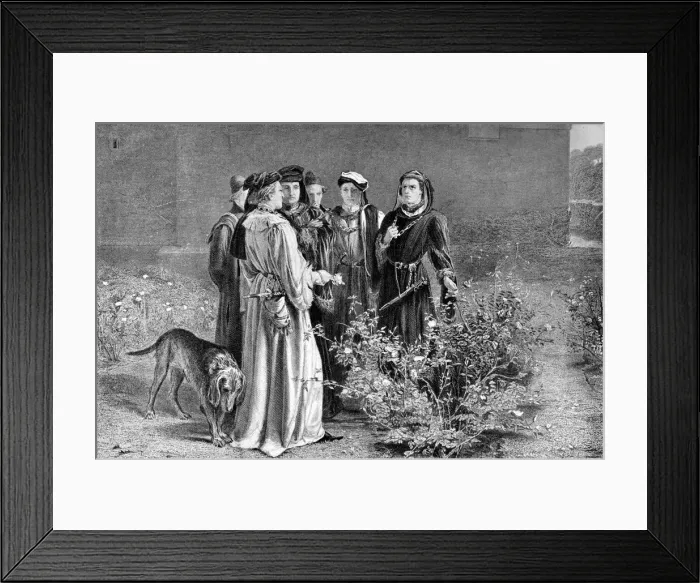 Framed Print : The houses of York and Lancaster, 15th century, (c1920) Framed Print : The houses of York and Lancaster, 15th century, (c1920)