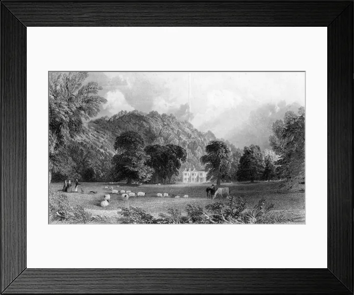 Framed Print : Burford Lodge, near Box Hill, Surrey, 19th century. Artist: Thomas Abiel Prior Framed Print : Burford Lodge, near Box Hill, Surrey, 19th century. Artist: Thomas Abiel Prior