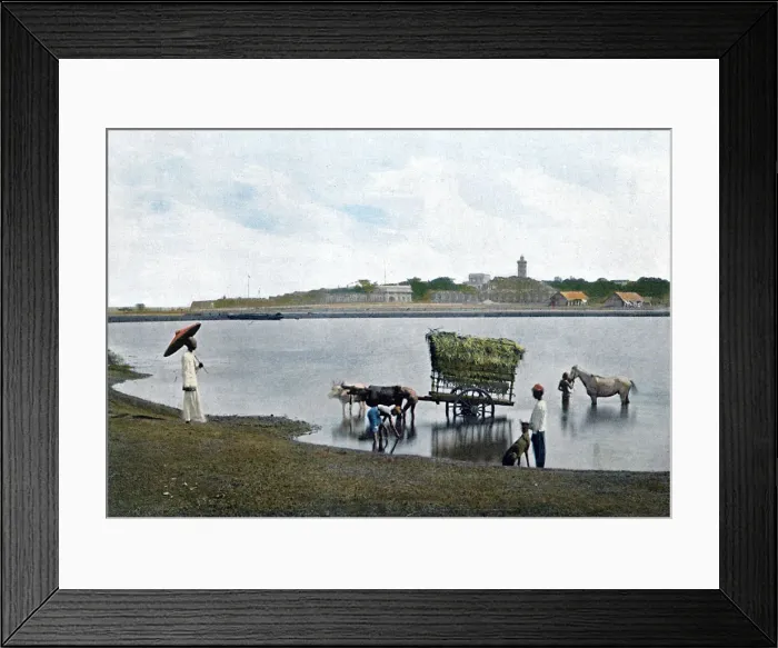 Framed Print : Colombo, Ceylon, c1890. Artist: Gillot Framed Print : Colombo, Ceylon, c1890. Artist: Gillot