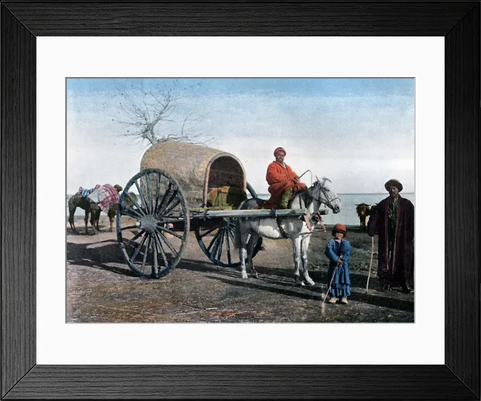 Framed Print : Bukhara wagon, Uzbekistan, c1890. Artist: Gillot