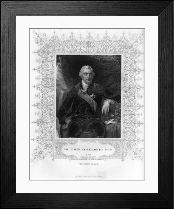 Framed Print : Sir Joseph Banks (1743-1820), English naturalist, botanist and science patron, 19th century. Artist: H Robinson Framed Print : Sir Joseph Banks (1743-1820), English naturalist, botanist and science patron, 19th century. Artist: H Robinson