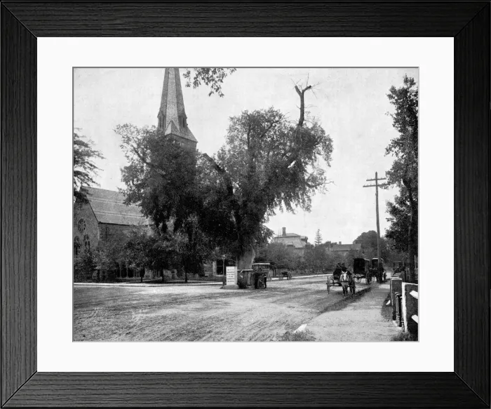Framed Print : Washington Elm and Memorial Stone, Cambridge, Massachusetts, USA, 1893. Artist: John L Stoddard Framed Print : Washington Elm and Memorial Stone, Cambridge, Massachusetts, USA, 1893. Artist: John L Stoddard