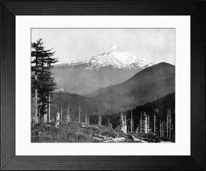 Framed Print : Mount Hood, Oregon, USA, 1893. Artist: John L Stoddard Framed Print : Mount Hood, Oregon, USA, 1893. Artist: John L Stoddard