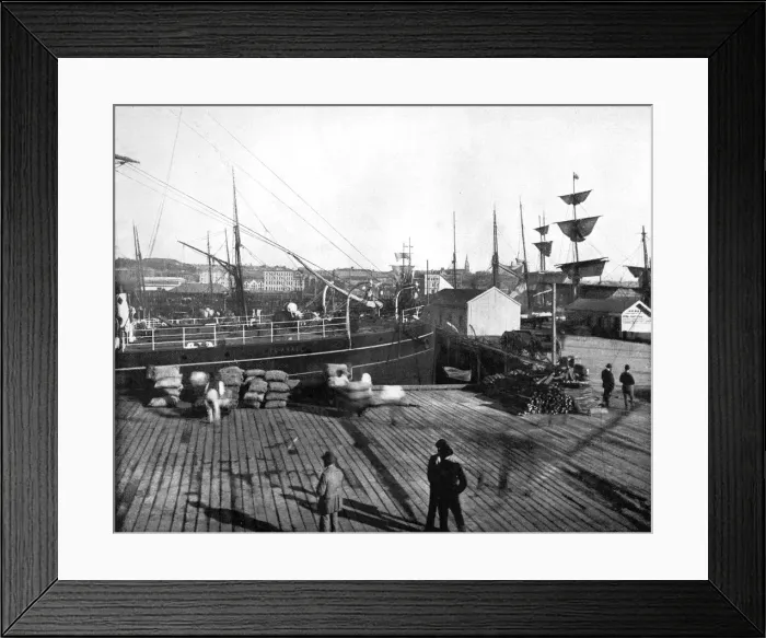 Framed Print : Harbour of Auckland, New Zealand, 1893. Artist: John L Stoddard Framed Print : Harbour of Auckland, New Zealand, 1893. Artist: John L Stoddard