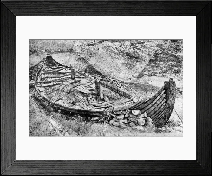 Framed Print : Stern view of the Oseberg Viking ship after months of excavation, Norway, c1904-1905 Framed Print : Stern view of the Oseberg Viking ship after months of excavation, Norway, c1904-1905