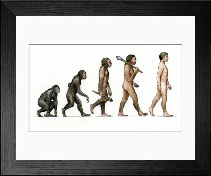 Framed Print : Evolution of ManArtist: Karen Humpage Framed Print : Evolution of ManArtist: Karen Humpage