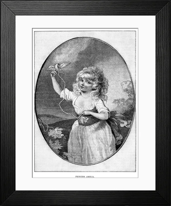 Framed Print : Princess Amelia, youngest daughter of George III and Queen Charlotte, 19th century Framed Print : Princess Amelia, youngest daughter of George III and Queen Charlotte, 19th century