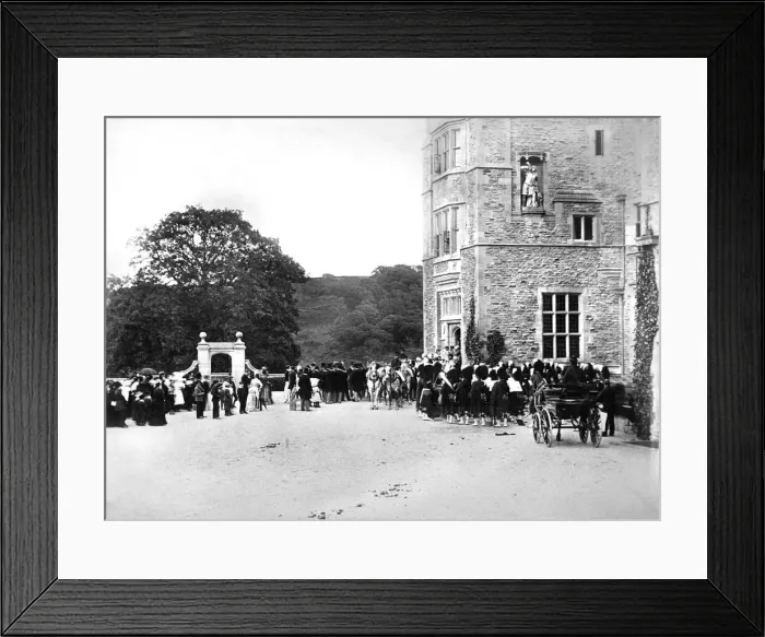 Framed Print : Wedding at Flete, c1882 Framed Print : Wedding at Flete, c1882