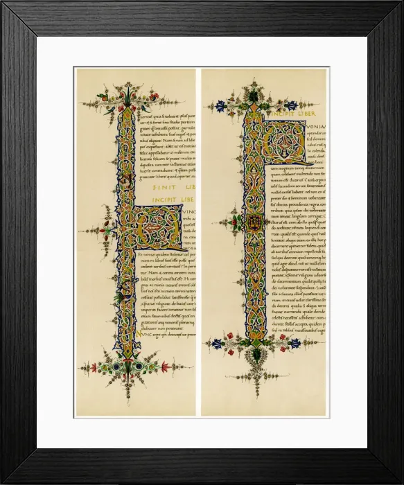 Framed Print : Illuminated initial letters, late 15th century Framed Print : Illuminated initial letters, late 15th century