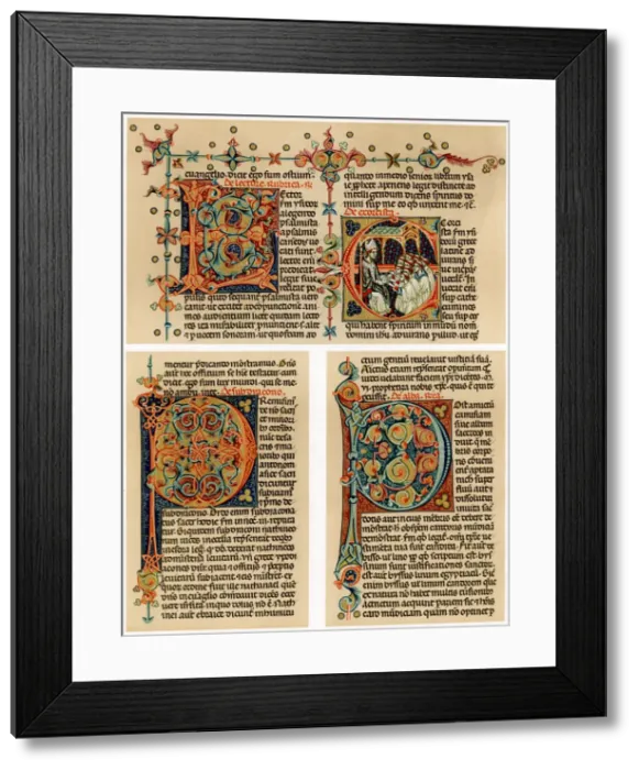 Framed Print : Text page with illuminated initial letters, 14th century