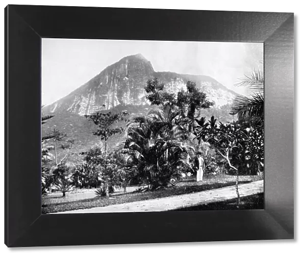 Botanical Gardens and Mount Corcovado, Rio De Janeiro, Brazil, 1893. Artist: John L Stoddard