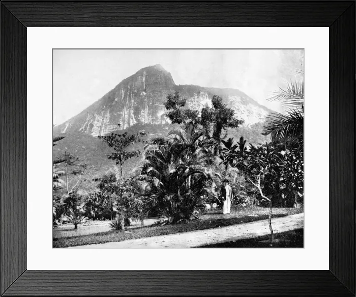 Framed Print : Botanical Gardens and Mount Corcovado, Rio De Janeiro, Brazil, 1893. Artist: John L Stoddard Framed Print : Botanical Gardens and Mount Corcovado, Rio De Janeiro, Brazil, 1893. Artist: John L Stoddard