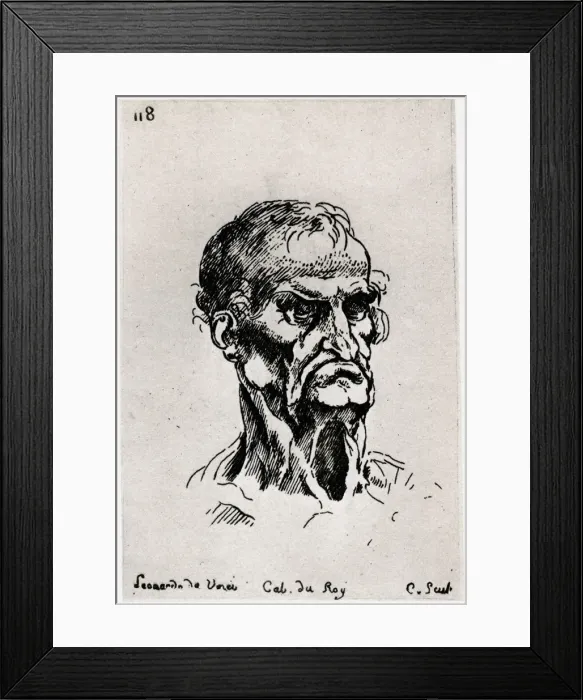 Framed Print : Drawing after Leonardo de Vinci, c1710-1765 (1924) Artist: Caylus, Anne-Claude-Philippe de Framed Print : Drawing after Leonardo de Vinci, c1710-1765 (1924) Artist: Caylus, Anne-Claude-Philippe de