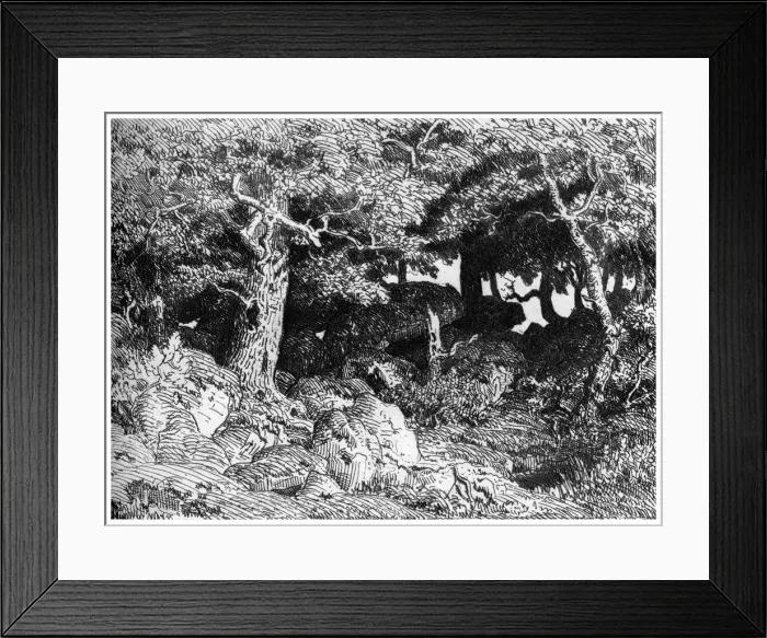 Framed Print : Les Chenes de Roche, c1832- 1860, (1924). Artist: Theodore Rousseau Framed Print : Les Chenes de Roche, c1832- 1860, (1924). Artist: Theodore Rousseau