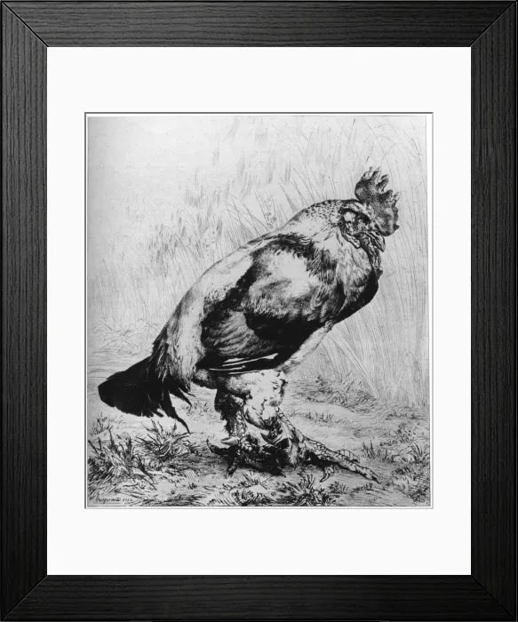Framed Print : La Coq, c1850-1910, (1924). Artist: Felix Bracquemond Framed Print : La Coq, c1850-1910, (1924). Artist: Felix Bracquemond