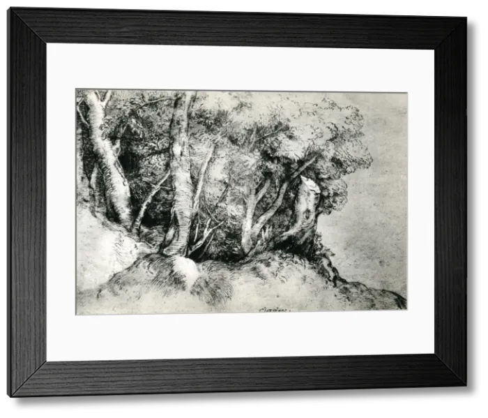 Framed Print : Forest Landscape, c1516-1518, (1937). Artist: Titian Framed Print : Forest Landscape, c1516-1518, (1937). Artist: Titian