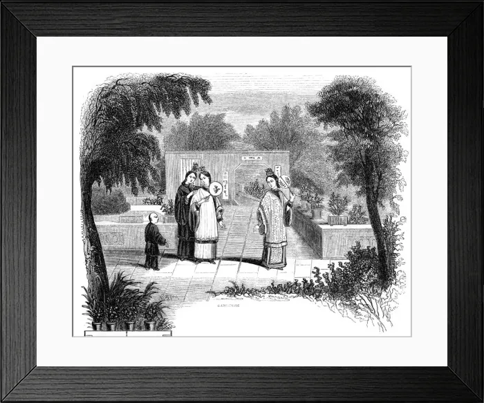 Framed Print : Ladies walking, garden scene of one of the wealthier classes, 1847. Artist: Armstrong Framed Print : Ladies walking, garden scene of one of the wealthier classes, 1847. Artist: Armstrong
