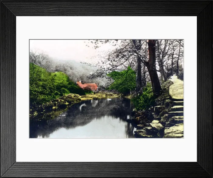 Framed Print : Jesmond Dene, Newcastle-upon-Tyne, Tyne & Wear, 1926. Artist: Cavenders Ltd Framed Print : Jesmond Dene, Newcastle-upon-Tyne, Tyne & Wear, 1926. Artist: Cavenders Ltd