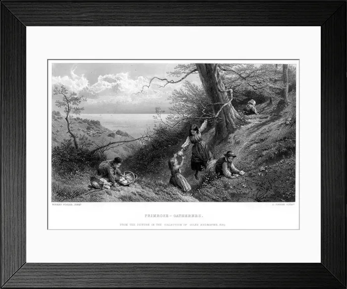 Framed Print : Primrose Gatherers, 1930s. Artist: C Cousen Framed Print : Primrose Gatherers, 1930s. Artist: C Cousen