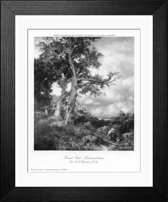 Framed Print : Forest Oaks, Fontainebleau, 1908. Artist: Sir Ernest Albert Waterlow Framed Print : Forest Oaks, Fontainebleau, 1908. Artist: Sir Ernest Albert Waterlow