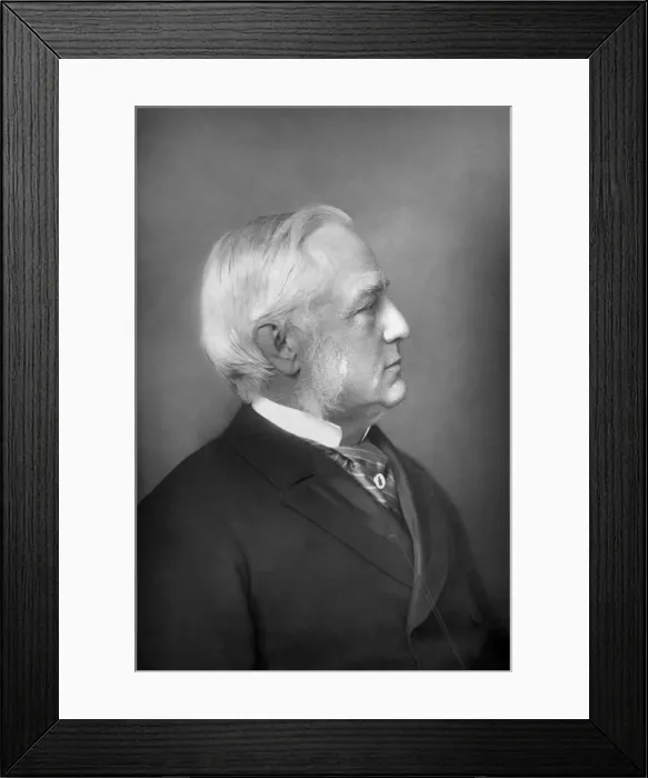 Framed Print : Professor Max Muller (1823-1900), German philologist and Orientalist, 1893. Artist: W&D Downey Framed Print : Professor Max Muller (1823-1900), German philologist and Orientalist, 1893. Artist: W&D Downey