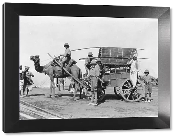 A camel cart, India, 1916-1917