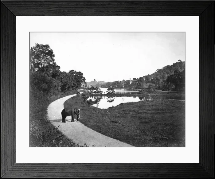 Framed Print : Kandy Lake, Kandy, Sri Lanka, c1910s Framed Print : Kandy Lake, Kandy, Sri Lanka, c1910s