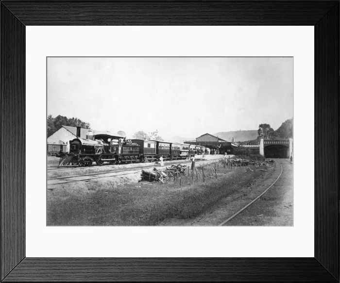 Framed Print : The Royal Train leaving Kandy station, Sri Lanka, c1910s Framed Print : The Royal Train leaving Kandy station, Sri Lanka, c1910s