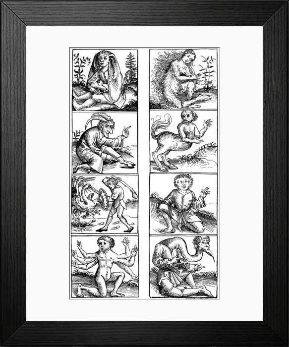 Framed Print : Beliefs and popular superstitions, 1493 (1849). Artist: A Bisson Framed Print : Beliefs and popular superstitions, 1493 (1849). Artist: A Bisson