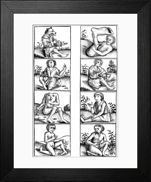 Framed Print : Beliefs and popular superstitions, 1493 (1849). Artist: A Bisson Framed Print : Beliefs and popular superstitions, 1493 (1849). Artist: A Bisson