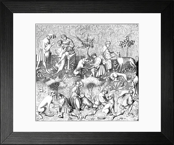 Framed Print : Diseases of dogs and their cures, 14th century (1849) Framed Print : Diseases of dogs and their cures, 14th century (1849)