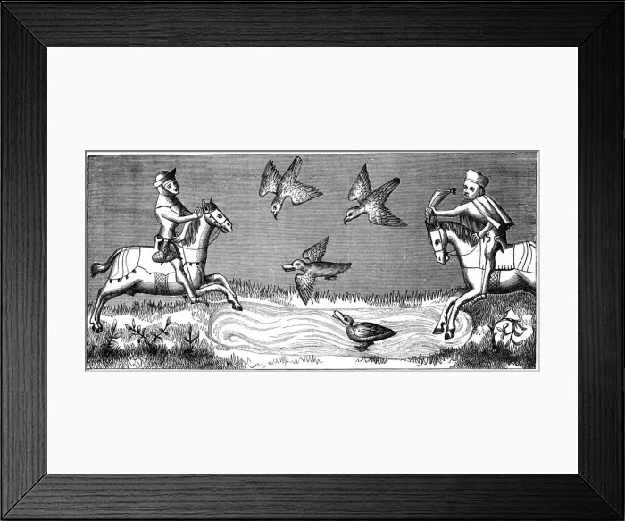 Framed Print : How to bathe a new falcon, 14th century (1849) Framed Print : How to bathe a new falcon, 14th century (1849)