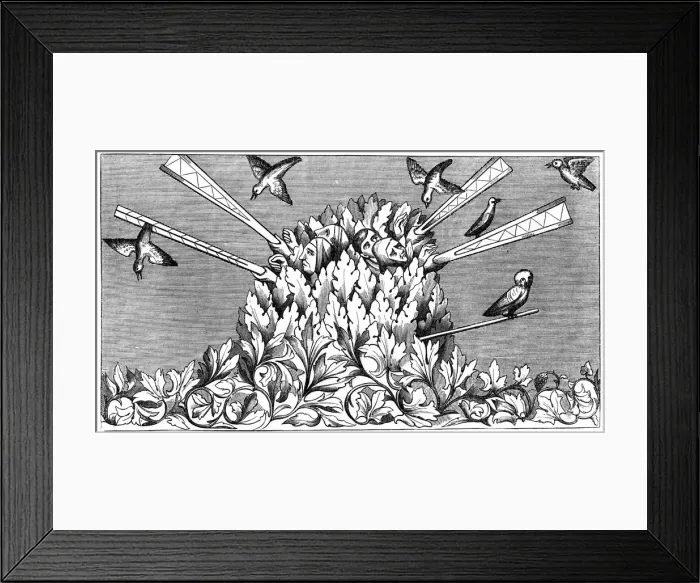 Framed Print : Catching birds, 14th century (1849) Framed Print : Catching birds, 14th century (1849)