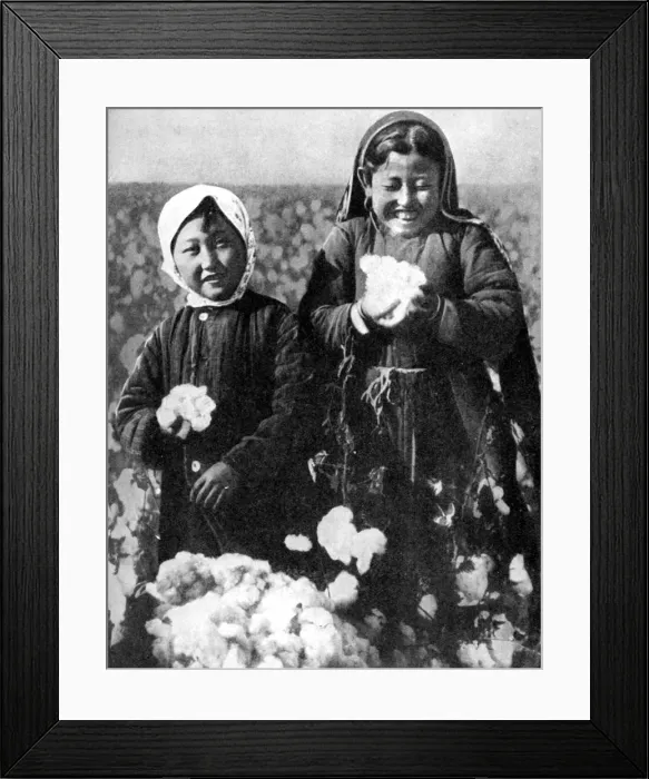 Framed Print : Girls in a cotton field, Kazakhstan, 1936 Framed Print : Girls in a cotton field, Kazakhstan, 1936