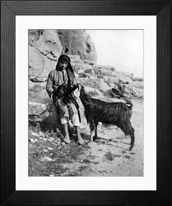 Framed Print : Arab boy and goat, Middle East, 1936. Artist: Donald McLeish Framed Print : Arab boy and goat, Middle East, 1936. Artist: Donald McLeish