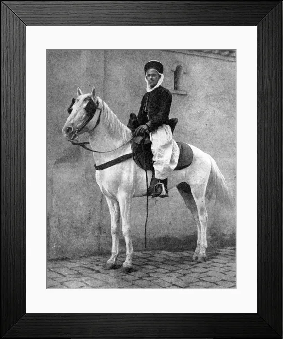 Framed Print : Berber horseman of the French Army, 1936. Artist: Donald McLeish Framed Print : Berber horseman of the French Army, 1936. Artist: Donald McLeish