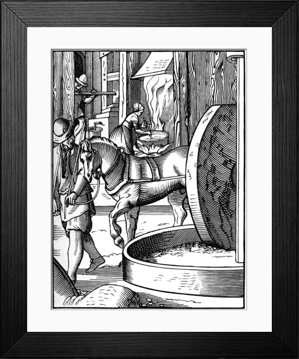 Framed Print : The manufacture of oil, 16th century (1849). Artist: Jost Amman Framed Print : The manufacture of oil, 16th century (1849). Artist: Jost Amman