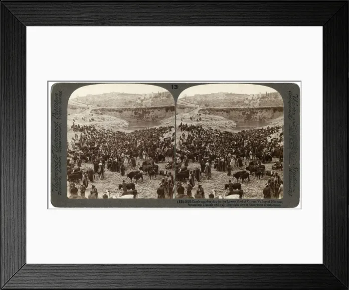 Framed Print : Cattle market day, in the lower pool of Gihon, Valley of Hinnom, Jerusalem, Palestine, 1900. Artist: Underwood & Underwood Framed Print : Cattle market day, in the lower pool of Gihon, Valley of Hinnom, Jerusalem, Palestine, 1900. Artist: Underwood & Underwood