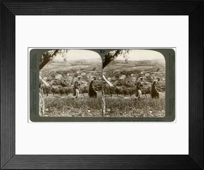Framed Print : Bethany, as seen from the eastern slope of the Mount of Olives, Palestine, 1899. Artist: Underwood & Underwood Framed Print : Bethany, as seen from the eastern slope of the Mount of Olives, Palestine, 1899. Artist: Underwood & Underwood