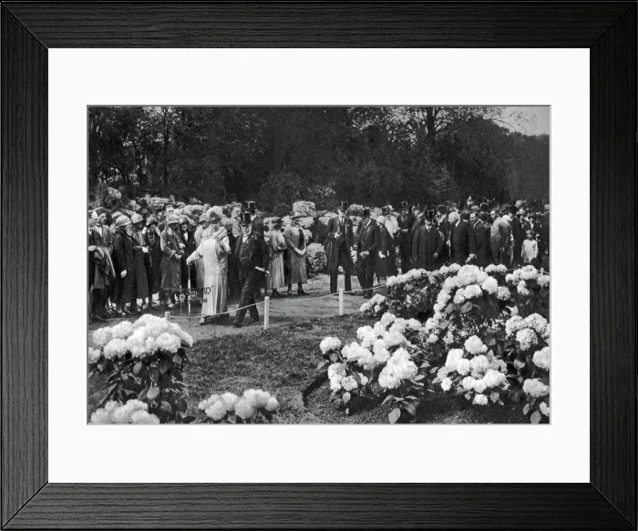 Framed Print : King George V and Queen Mary visit the annual spring flower show at Chelsea, London, 1926-1927 Framed Print : King George V and Queen Mary visit the annual spring flower show at Chelsea, London, 1926-1927