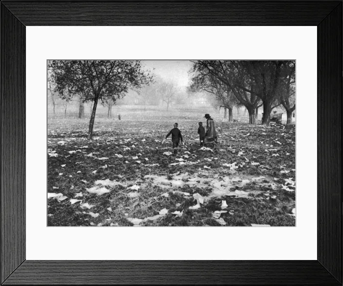 Framed Print : The rubbish left on Hamstead Heath after a bank holiday, London, 1926-1927 Framed Print : The rubbish left on Hamstead Heath after a bank holiday, London, 1926-1927