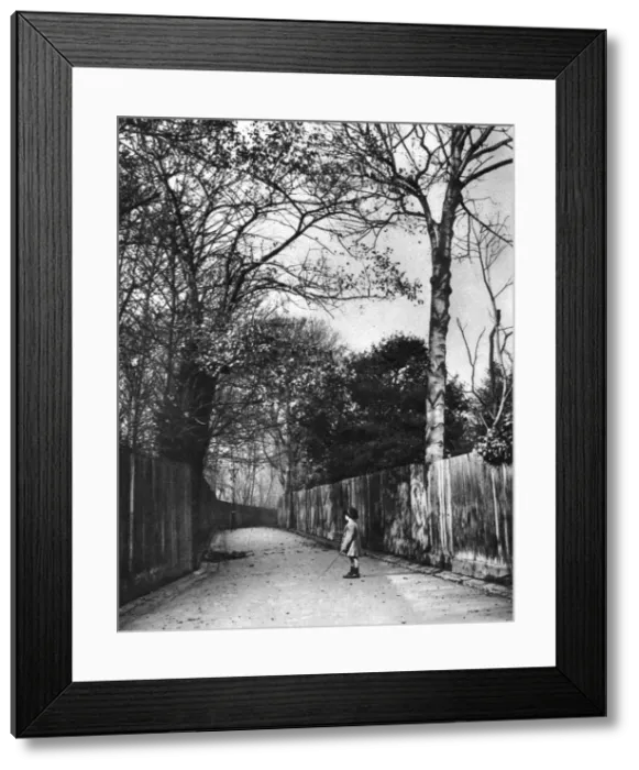 Framed Print : Autumn time in Holland Walk, London, 1926-1927. Artist: McLeish Framed Print : Autumn time in Holland Walk, London, 1926-1927. Artist: McLeish