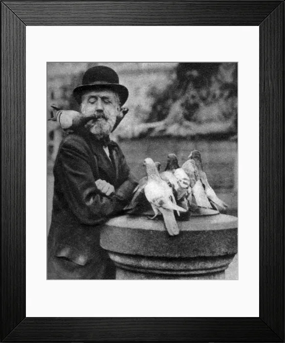 Framed Print : Pigeons of St Pauls with a vagrant, London, 1926-1927. Artist: McLeish Framed Print : Pigeons of St Pauls with a vagrant, London, 1926-1927. Artist: McLeish