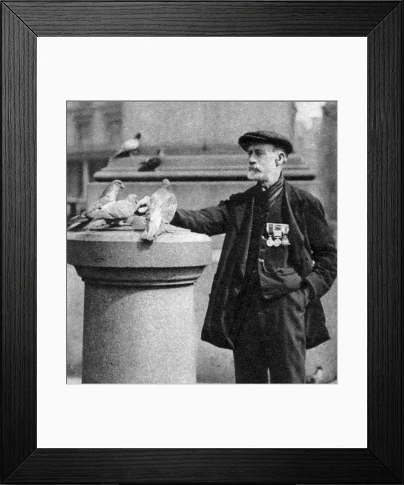 Framed Print : An old soldier with some pigeons, Trafalgar Square, London, 1926-1927. Artist: McLeish Framed Print : An old soldier with some pigeons, Trafalgar Square, London, 1926-1927. Artist: McLeish