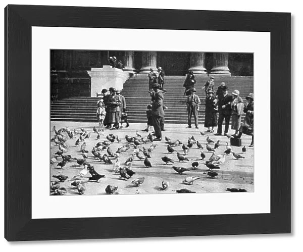 Pigeons in Trafalgar Square, London, 1926-1927