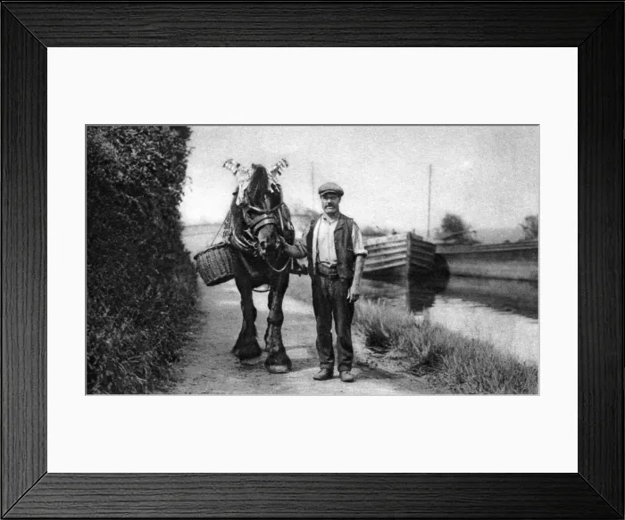 Framed Print : A horse pulling a canal barge, 1926-1927 Framed Print : A horse pulling a canal barge, 1926-1927