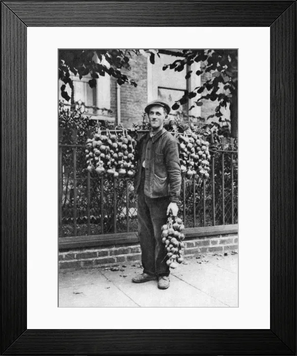 Framed Print : Breton onion seller, London, 1926-1927. Artist: McLeish Framed Print : Breton onion seller, London, 1926-1927. Artist: McLeish